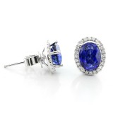 Jadore Oval Cut  with Diamond Halo Studs set in 18K White Gold