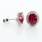Red Jadore Oval Cut with Diamond Halo Studs set in 18K White Gold