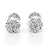 0.67 cts Cluster diamond studs set in 14Kb White gold