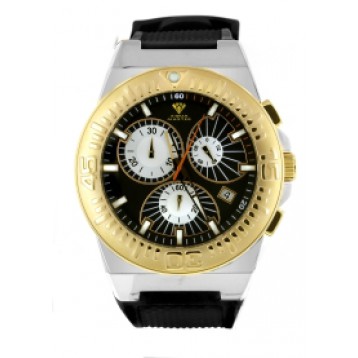 Aqua Master Sport Steel-Gold Watch